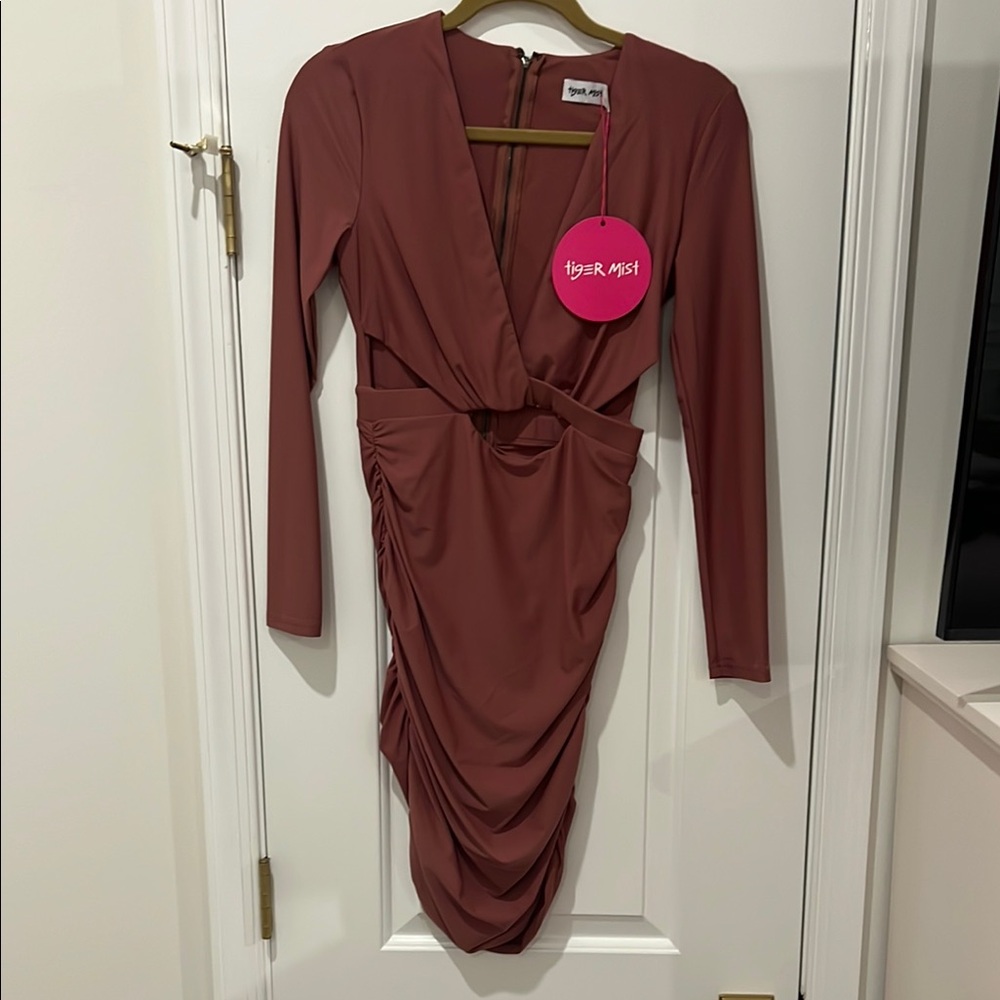 Tiger Mist Mauve Ruched Long Sleeve Bodycon Dress NWT